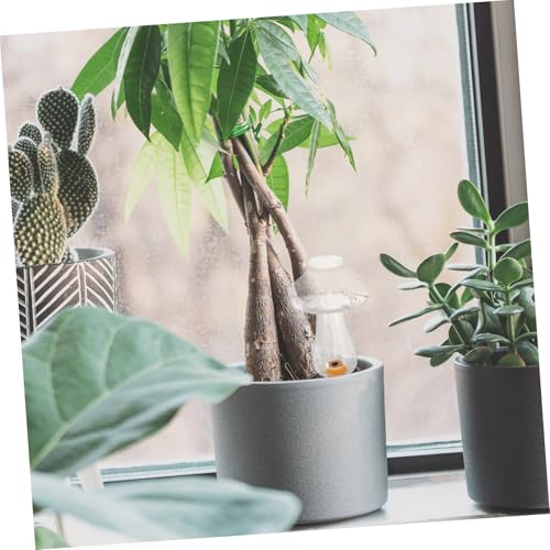 GARIOUANS Automatisches Pflanzen Bewässerungssystem Pilzform Wasserspender für Zimmerpflanzen Balkon Garten Selbstbewässernde Blumenkugel für Topfpflanzen Bonsai und Blumenpflege GARIOUANS Automatisches Pflanzen Bewässerungssystem Pilzform Wasserspender für Zimmerpflanzen Balkon Garten Selbstbewässernde Blumenkugel für Topfpflanzen Bonsai und Blumenpflege von GARIOUANS