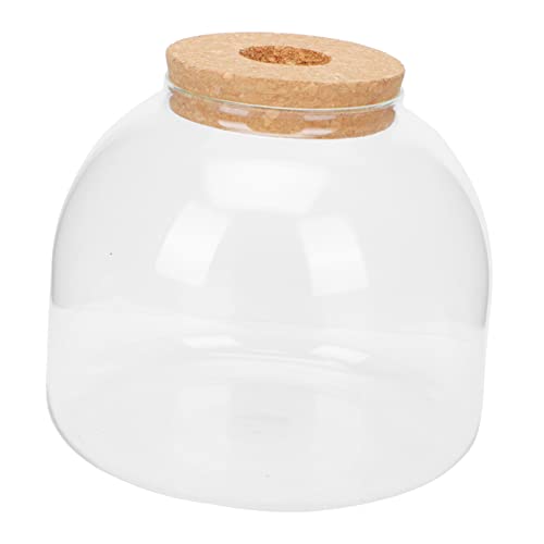 GARIOUANS DIY Mikrolandschaft Flasche Transparentes Ökologisches Glasbehältnis für Miniaturpflanzen Terrarium für Zuhause Robuste und Einfach zu Reinigende Deko mit Holzstopfen GARIOUANS DIY Mikrolandschaft Flasche Transparentes Ökologisches Glasbehältnis für Miniaturpflanzen Terrarium für Zuhause Robuste und Einfach zu Reinigende Deko mit Holzstopfen von GARIOUANS