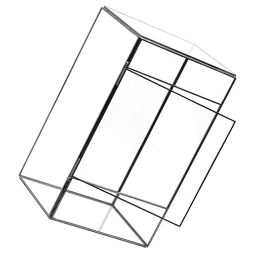 GARIOUANS Glas Terrarium DIY Landschaftsbehälter Handgefertigtes Mini Ökosystem mit Glatter Oberfläche Langlebig Leicht für Wohnzimmer Büro Tischdekoration von GARIOUANS