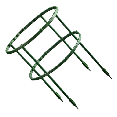GARIOUANS Grüner Pflanzenkletterstütze Doppelstock Kletterhilfe für Topfpflanzen Wie Krebskaktus Orchideen Robuste Rankhilfe für Innenbereich von GARIOUANS