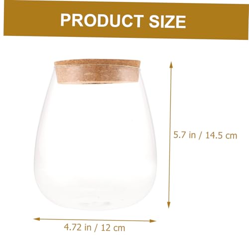 GARIOUANS Hydroponische Pflanzen Glasflasche Langlebiges Terrarium DIY Ökologisches Micro Landschaft Gefäß für Moos und Raumdekoration GARIOUANS Hydroponische Pflanzen Glasflasche Langlebiges Terrarium DIY Ökologisches Micro Landschaft Gefäß für Moos und Raumdekoration von GARIOUANS