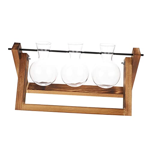 GARIOUANS Hydroponische Pflanzenvermehrung Terrarium Glasvase mit Holzständer Teiliges Desktop Pflanzgefäß für Wasserpflanzen Dekorative Blumenzwiebel Hydrokultur Station für GARIOUANS Hydroponische Pflanzenvermehrung Terrarium Glasvase mit Holzständer Teiliges Desktop Pflanzgefäß für Wasserpflanzen Dekorative Blumenzwiebel Hydrokultur Station für von GARIOUANS