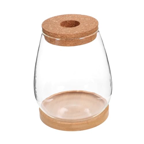 GARIOUANS Hydroponisches Pflanzen Terrarium Glasflasche mit DIY mikrolandschaft Ökologisches Ökosystem behälter für Zimmerpflanzen Dekorativer Pflanzgefäß für Büro Wohnraumgestaltung von GARIOUANS