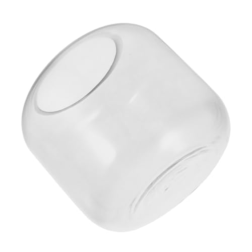 GARIOUANS Klare Pflanzenvase aus Glas Hydroponisches Terrarium Gefäß Dekorativer Flaschengarten für Zimmerpflanzen Luftreinigend Vielseitig Nutzbar Transparentes Sukkulenten GARIOUANS Klare Pflanzenvase aus Glas Hydroponisches Terrarium Gefäß Dekorativer Flaschengarten für Zimmerpflanzen Luftreinigend Vielseitig Nutzbar Transparentes Sukkulenten von GARIOUANS