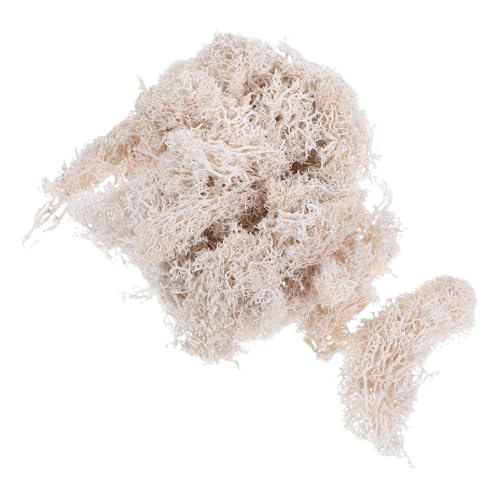 GARIOUANS Konserviertes Frisches Moos Weiß DIY Material für Hochzeit Garten Dekoration Terrarien Geschenkfüllung GARIOUANS Konserviertes Frisches Moos Weiß DIY Material für Hochzeit Garten Dekoration Terrarien Geschenkfüllung von GARIOUANS