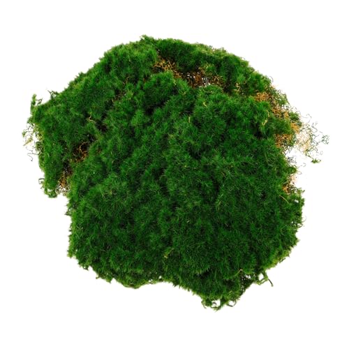 GARIOUANS Künstliches Moospad Langlebig Realistisch Detailreich für DIY Mini Landschaften Basteldekoration und Garten Deko Weiches Fake Moos für Innenbereich und Modellbau von GARIOUANS