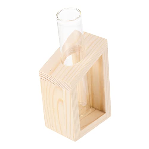 GARIOUANS Reagenzglasvase Mit Holzständer Transparente Anzuchtvase Für Kleine Pflanzen-Terrarium-röhrchen-pflanzenvase Heimdekoration Für Zuhause Büro Garten Und Hochzeitsdekoration GARIOUANS Reagenzglasvase Mit Holzständer Transparente Anzuchtvase Für Kleine Pflanzen-Terrarium-röhrchen-pflanzenvase Heimdekoration Für Zuhause Büro Garten Und Hochzeitsdekoration von GARIOUANS
