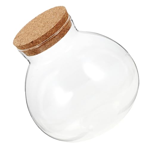 GARIOUANS Rundes Glas Terrarium mit Korken Micro Landschaft Pflanzflasche Ökologischer Pflanzenbehälter Transparenter Flaschengarten für DIY moos und Kleine Pflanzen Dekoratives GARIOUANS Rundes Glas Terrarium mit Korken Micro Landschaft Pflanzflasche Ökologischer Pflanzenbehälter Transparenter Flaschengarten für DIY moos und Kleine Pflanzen Dekoratives von GARIOUANS
