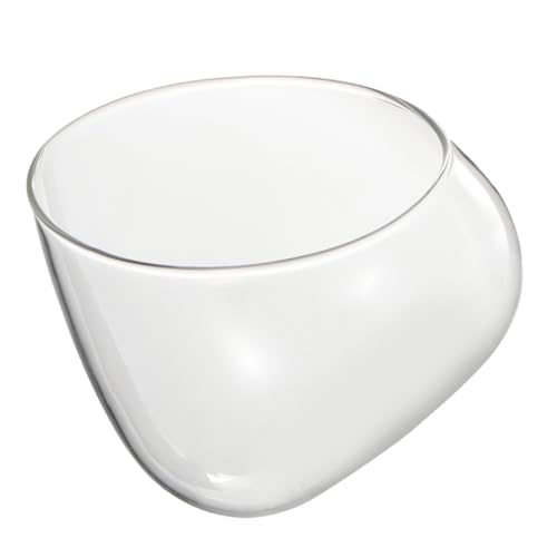 GARIOUANS Schräge Glasflasche Mikrolandschaft Ökologische Flasche Transparent Terrarium für Moos und Miniaturpflanzen DIY Dekoration Innenbereich von GARIOUANS