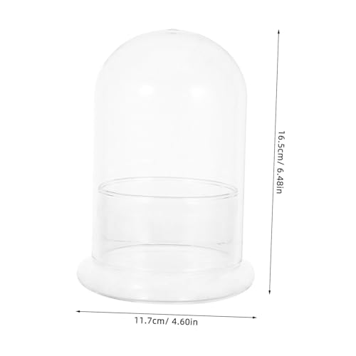 GARIOUANS Transparentes Glas-Terrarium mit Deckel Miniatur-ökosystem DIY Glasvase für Hydrokultur Moos Kleine Pflanzen Dekoratives Feinstlandschaftsgefäß für Schreibtisch GARIOUANS Transparentes Glas-Terrarium mit Deckel Miniatur-ökosystem DIY Glasvase für Hydrokultur Moos Kleine Pflanzen Dekoratives Feinstlandschaftsgefäß für Schreibtisch von GARIOUANS