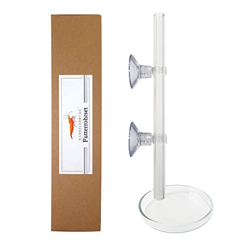 GARNELEN4YOU® Futterrohr-Set aus Laborglas | 100% Made in Germany | Rohr und Futter-Schale für Garnelenfutter | elegant schmales Design | bruchfestes Glas statt billiges Acryl | Shrimp Feeder Tube von GARNELEN4YOU