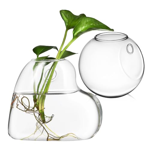 GAROZATION 2 Stück Hängende Wandvase Hochborosilikat Pflanzen Terrarium Hydroponik Pflanzgefäß für Zimmerpflanzen und Fischbecken Dekoration mit Wandhalterung Transparent Robust von GAROZATION