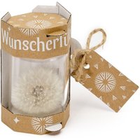 Garronda Wunscherfüller - Elegante Pusteblume im Glas 2 Stück, Charmante Kleine Geschenke für Frauen, Kreative Geschenkideen für Geburtstag GD-0077 Garronda Wunscherfüller - Elegante Pusteblume im Glas 2 Stück, Charmante Kleine Geschenke für Frauen, Kreative Geschenkideen für Geburtstag GD-0077 von GARRONDA