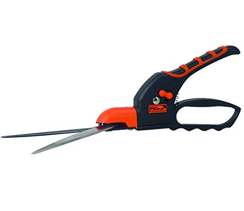 Garten Primus Rasenkantenschere, schwarz/orange, 30,6 x 7,3 x 2,5 cm, 02410 Garten Primus Rasenkantenschere, schwarz/orange, 30,6 x 7,3 x 2,5 cm, 02410 von Garten Primus