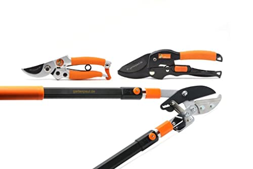 Gartenpaul 3er Set mit 6-fach Teleskop Ratschen Astschere inkl. beidseitiger Amboss Klinge + Rollschere R1 + Bypass Damengartenschere Lady Gartenpaul 3er Set mit 6-fach Teleskop Ratschen Astschere inkl. beidseitiger Amboss Klinge + Rollschere R1 + Bypass Damengartenschere Lady von GARTENPAUL