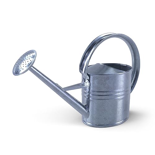 Verzinkte Gießkanne 10 L – Robuste Metallgießkanne mit Brause – Gartenkanne für Balkon & Outdoor – Wetterfestes Zink – Langlebig & rostfrei – Made in EU Verzinkte Gießkanne 10 L – Robuste Metallgießkanne mit Brause – Gartenkanne für Balkon & Outdoor – Wetterfestes Zink – Langlebig & rostfrei – Made in EU von GARTHEIN