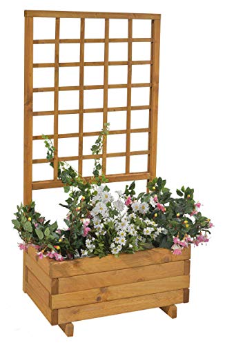 GASPO Blumenkasten mit Rankgitter, Pflanzkübel aus Holz für Balkon und Garten, inklusive Rankhilfen für Kletterpflanzen, Sichtschutz,Farbe Honig, 68 cm x 37 cm x 140 cm, Made in Austria von GASPO