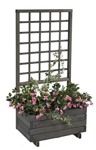 GASPO Blumenkasten mit Rankgitter, Pflanzkübel aus Holz für Balkon und Garten, inklusive Rankhilfen für Kletterpflanzen, Sichtschutz,Farbe Vintage-grau, 68 cm x 37 cm x 140 cm, Made in Austria von GASPO