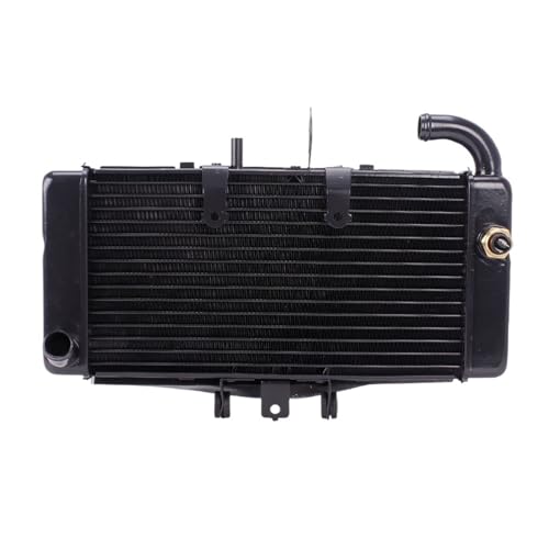 GAYCLG Kühlerschutzgitter Fit Für Honda CB400 VTEC VTEC400 I II IIII 1999-2008 CVK Kühler Kühler Kühlwasser Tank Wasserkühler(Cooler and sensors) von GAYCLG