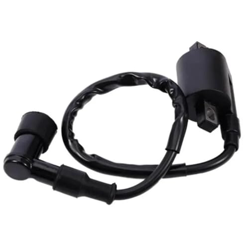 GAYCLG Zündungskabel 1 Stücke Zündspule 12 V Verwenden Mit CDI Für Suzuki RM 60 65 80 85 100 125 250 RMX 250 450 Dirt Bike Motorrad Ignition Coil von GAYCLG