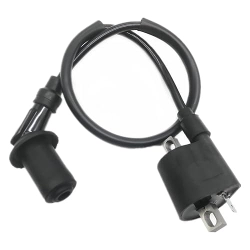GAYCLG Zündungskabel Motorrad Leistung Teile Zündspule System Einheit Für D8TC CG ZJ 50 60 80 100 125 150CC Ignition Coil(120) von GAYCLG