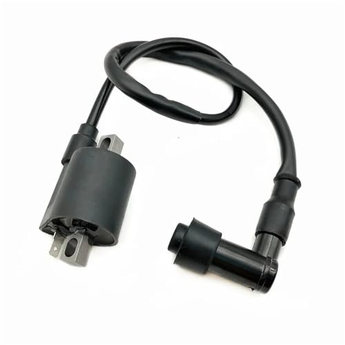 GAYCLG Zündungskabel Motorrad Leistung Teile Zündspule System Einheit Für D8TC CG ZJ 50 60 80 100 125 150CC Ignition Coil(90) von GAYCLG