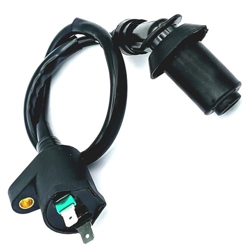 GAYCLG Zündungskabel Roller Zündspule Auto Teil Hohe Leistung Für TRX300 GY6 50CC 125CC 150CC Motor Motorrad Dirt Ignition Coil von GAYCLG