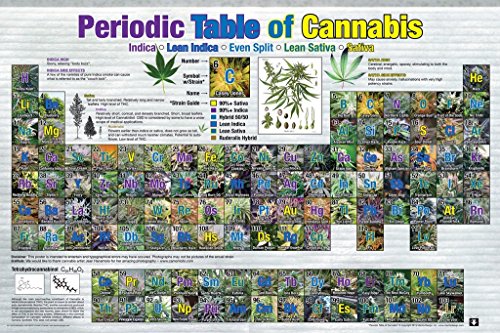 GB eye GN0815 Maxi-Poster mit Cannabismotiv 61 x 91,5 cm von GB eye