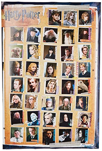 GB eye LTD Harry Potter 7 Charaktere, Maxi-Poster, 61 x 91,5 cm, Holz, Mehrfarbig von GB eye