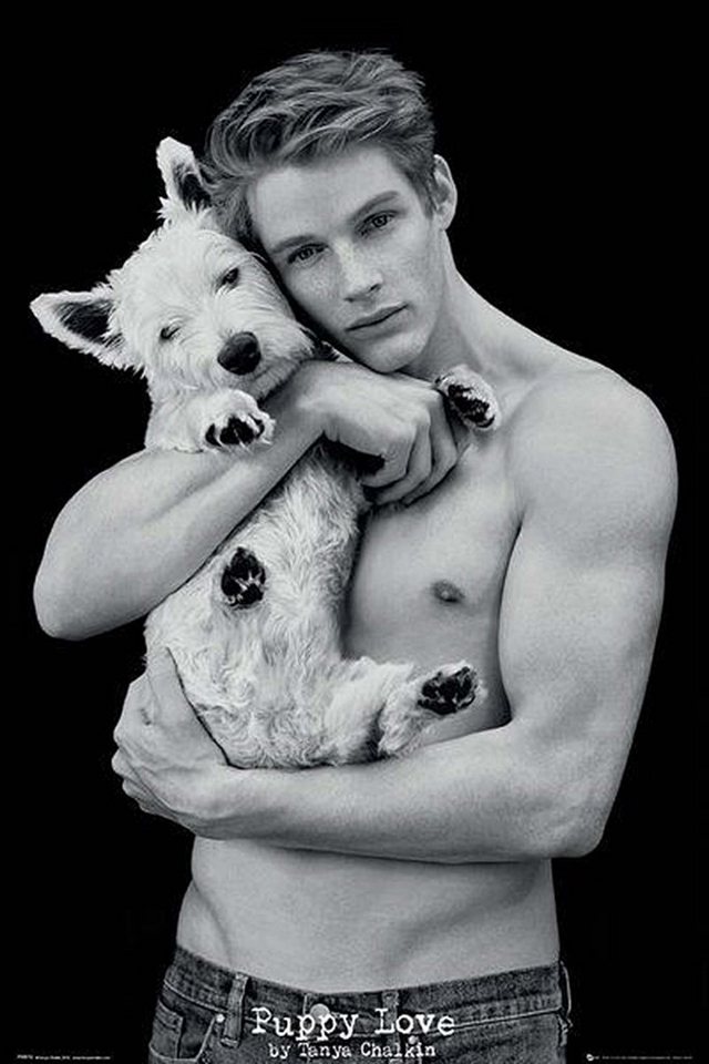 GB eye Poster Tanya Chalkin Poster Puppy Love 61 x 91,5 cm GB eye Poster Tanya Chalkin Poster Puppy Love 61 x 91,5 cm von GB eye