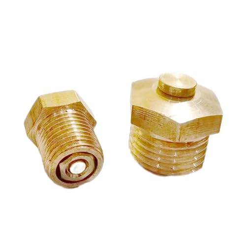 1PC 1/8" BSPP Valve Air Release Valve von GBIDKKYZIE
