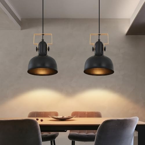 GBLY 2er set Hängelampe Vintage: 1 Flammig Pendelleuchte Esstisch Hängeleuchte Schwarz Retro Esszimmerlampe Industrial E27 Lampenfassung MAX.40W Esstischlampe für Wohnzimmer Schlafzimmer Küche Flur von GBLY