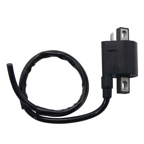 Roller Zündschloss, 2 Draht Zündschlüsselschalter Motorrad Hochspannungsspule Passend für XVS650 V Star 650 XVS650A WR250 WR250F WR250Z WR400 WR400F WR426F 3GD-82310-10 3KJ-82310 von GBSONGJIN