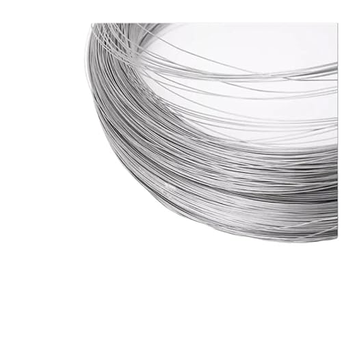 Drahtseil,Stahlseil Einstellbar 1 stücke 1-100 meter 304 Edelstahl Weich/harten Stahl Draht Durchmesser 0,02-3mm Einzel Strang zurrgurt Weichen Eisen Rostfrei(0.18mm X 100m,Soft Steel Wire) von GBZIJIE