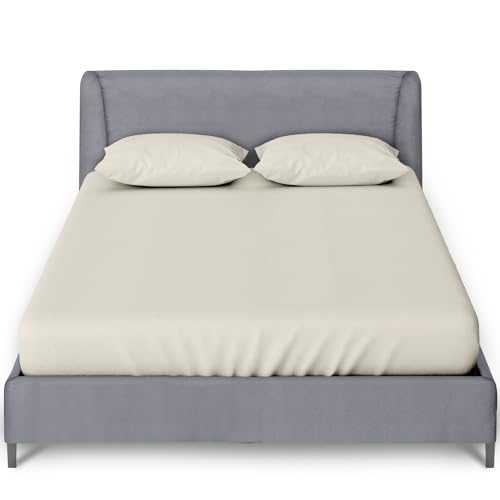 GC GAVENO CAVAILIA Perkal-Spannbetttuch, ultraweich, unifarben, superweich, bügelfrei, Polycotton, Einzelbett, cremefarben GC GAVENO CAVAILIA Perkal-Spannbetttuch, ultraweich, unifarben, superweich, bügelfrei, Polycotton, Einzelbett, cremefarben von GC GAVENO CAVAILIA
