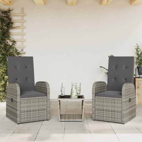 GCHDHAPB Gartenmöbel-Set für den Außenbereich, 3-teilig, mit Kissen, Polyrattan, Grau GCHDHAPB Gartenmöbel-Set für den Außenbereich, 3-teilig, mit Kissen, Polyrattan, Grau von GCHDHAPB