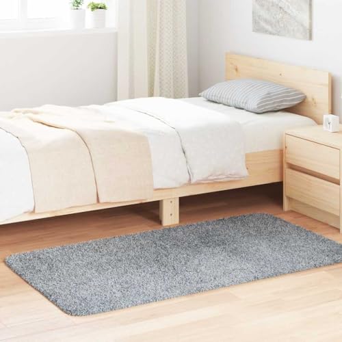 GCHDHAPB Shaggy Teppich Hochflor Navarra Silber Grau 80x150 cm Polyester Home & Garden Decor Teppiche von GCHDHAPB