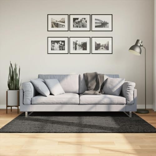 GCHDHAPB Teppich ISTAN Hochflor Glänzende Optik Anthrazit 120x170cm Haus & Garten Dekor Teppiche von GCHDHAPB