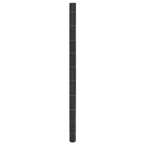 GCHDHAPB Unkrautvlies schwarz 2x150m PPHome & Garden Rasen & Garten Gartenarbeit Landschaftsgewebe GCHDHAPB Unkrautvlies schwarz 2x150m PPHome & Garden Rasen & Garten Gartenarbeit Landschaftsgewebe von GCHDHAPB