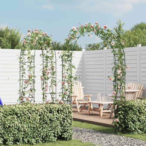Gartenbogen 2 Stück Kletterpflanzen Gartenbogen 2 Stück Kletterpflanzen von GCHDHAPB