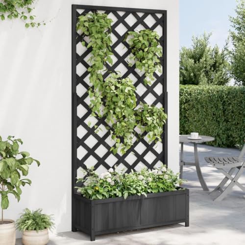 Pflanzgefäß mit Rankgitter aus schwarzem Massivholz, FirHome & Garden Lawn & Garden Gardening Töpfe & Pflanzgefäße von GCHDHAPB