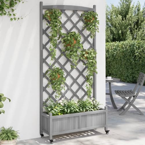 Pflanzgefäß mit Rankgitter und Rädern, grau, Massivholz, FirHome & Garden, Rasen & Garten, Gartentöpfe & Pflanzgefäße Pflanzgefäß mit Rankgitter und Rädern, grau, Massivholz, FirHome & Garden, Rasen & Garten, Gartentöpfe & Pflanzgefäße von GCHDHAPB