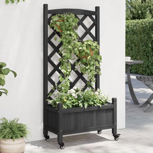 Pflanzgefäß mit Rankgitter und Rädern, schwarzes Massivholz, FirHome & Garden Lawn & Garden Gardening Töpfe & Pflanzgefäße von GCHDHAPB