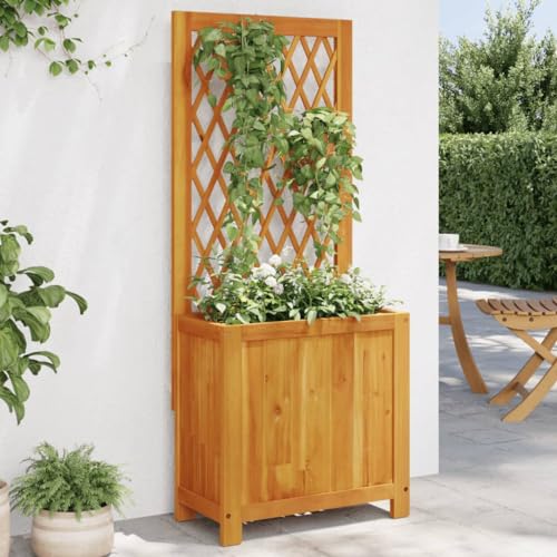 Pflanzkübel mit Rankgitter 55x29,5x132cm Massivholz Akazie Haus & Garten Rasen & Garten Gartenarbeit Töpfe & Pflanzgefäße Pflanzkübel mit Rankgitter 55x29,5x132cm Massivholz Akazie Haus & Garten Rasen & Garten Gartenarbeit Töpfe & Pflanzgefäße von GCHDHAPB
