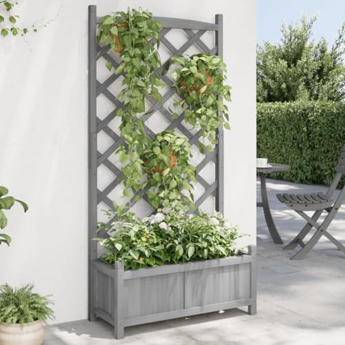 Pflanzkübel mit Rankgitter grau Massivholz FirHome & Garden Rasen & Garten Gartenarbeit Töpfe & Pflanzgefäße Pflanzkübel mit Rankgitter grau Massivholz FirHome & Garden Rasen & Garten Gartenarbeit Töpfe & Pflanzgefäße von GCHDHAPB
