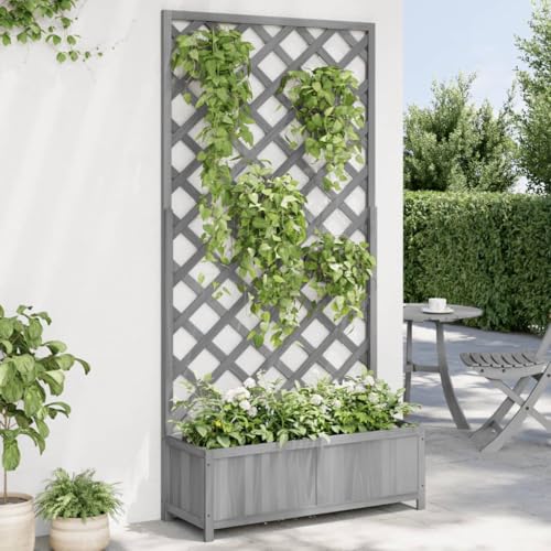 Pflanzkübel mit Rankgitter grau Massivholz FirHome & Garden Rasen & Garten Gartenarbeit Töpfe & Pflanzgefäße Pflanzkübel mit Rankgitter grau Massivholz FirHome & Garden Rasen & Garten Gartenarbeit Töpfe & Pflanzgefäße von GCHDHAPB