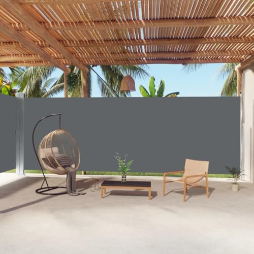 Seitenmarkise versenkbar anthrazit 220x1000 cm von GCHDHAPB