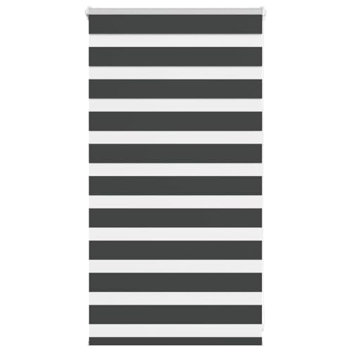 Zebra Rollo schwarz 70x100 cm Stoffbreite 65,9 cm Polyester Zebra Rollo schwarz 70x100 cm Stoffbreite 65,9 cm Polyester von GCHDHAPB