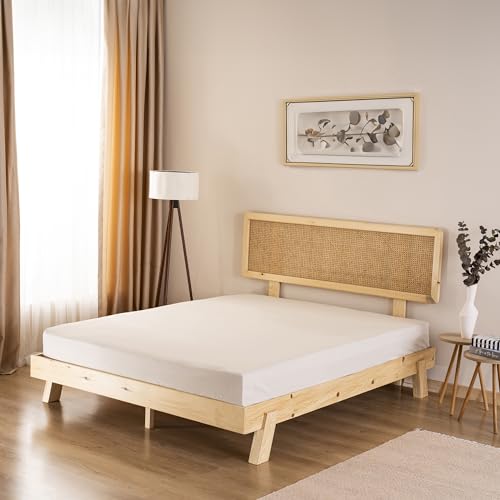 GD HOME Renforce Baumwolle Spannbettlaken/Spannbetttuch aus 100% Baumwolle/Weiches und Atmungsaktives Leintuch 180 x 200 x 30 cm/Jersey Bettlaken/Creme von GD Home