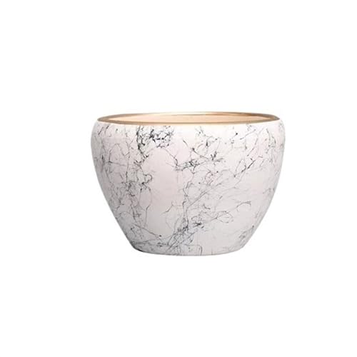 Dekorative Pflanzgefäße Pflanzer Keramik Großes Kaliber Indoor Und Outdoor Glück Baum s Sukkulenten Einfache(White,L) von GDHKDDFL